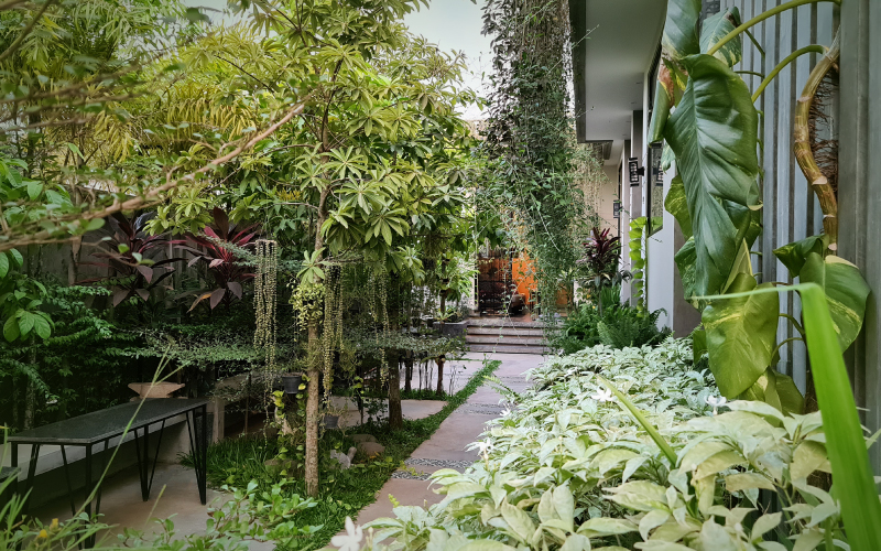 Veayo Studio-Design Villa & Homestay